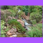 Water Fall.jpg